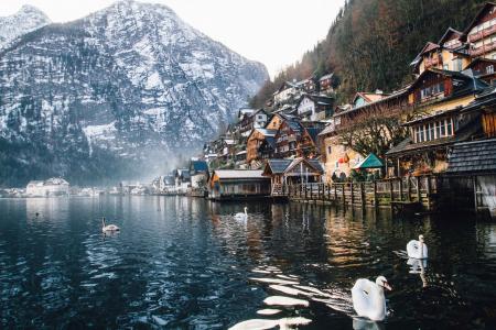 Photo of Houses Near Body of Water