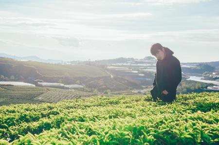 Photo of Man Near Plants