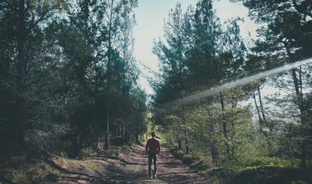 Photo of Man Walking Along Pathway at Forest