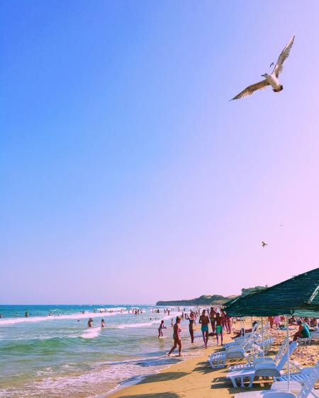 Photo of People at the Beach