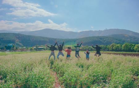 Photo of People Jumping on Green Grass Field