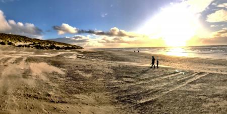 Photo of People Walking on Brown Sand