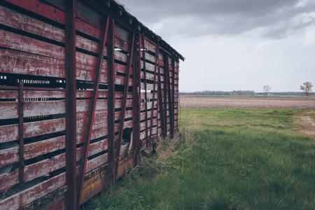 Photo of Red Wooden Shed on Green Grass Field