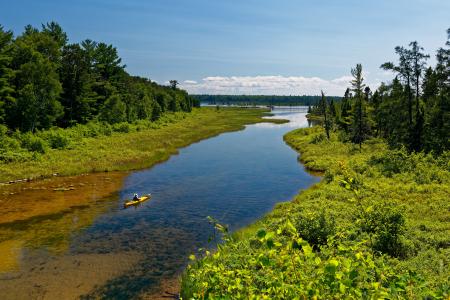 Photo of River Surrounded by Grass