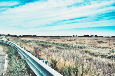 Photo of Road Railing Near Grasses