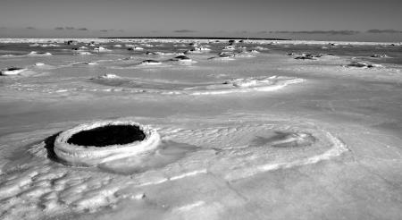 Photo of Snow Field