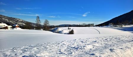 Photo of Snow Near Tress