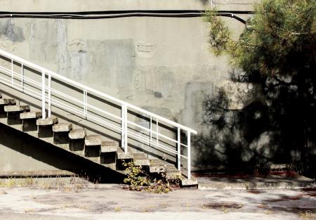 Photo of the Staircase near the Tree