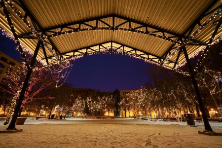 Photo of the Trees Covered with Christmas Lights