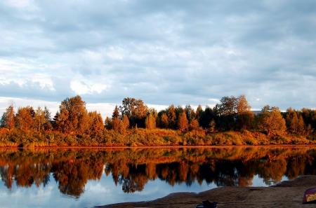 Photo of Trees Near the Lake during Daytime