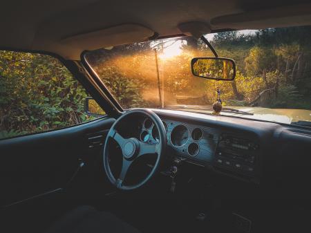 Photo of Vehicle Interior Near Green Leaf Plants