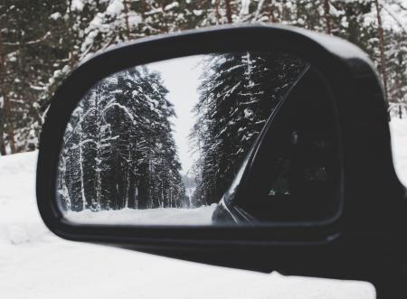 Photo of Vehicle Wing Mirror With Tree As Reflection