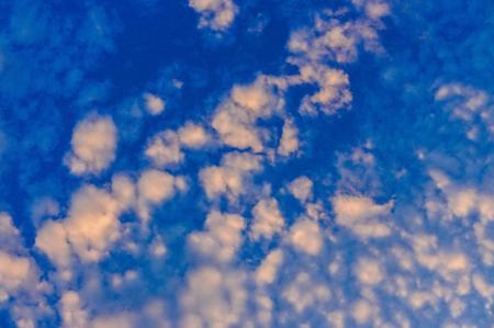 Photo of White Cloud Blue Skies