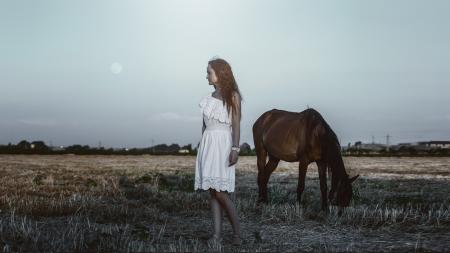 Photo Session with a Horse