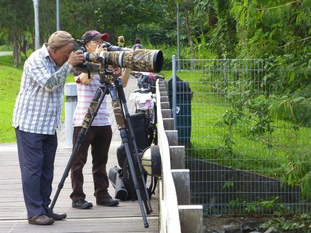 Photographers in Park