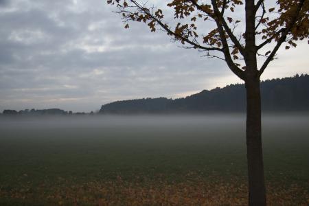 Photography in Autumn