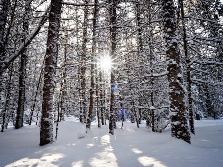 Photography in Winter