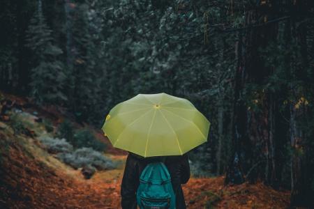 Photography of a Person Holding Yellow Umbrella