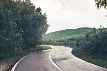 Photography of Asphalt Road Near Trees