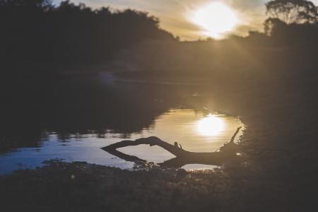 Photography of Body of Water during Sunset