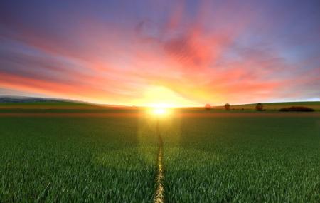 Photography of Footpath Between Green Grass Field during Golden Hour