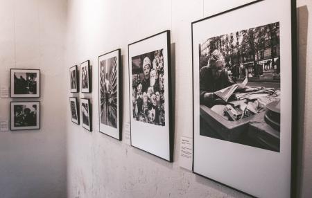 Photography of Grayscale Portraits on Wall