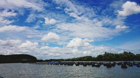 Photography of Green Trees Near Body of Water Under Cloudy Sky during Daytime