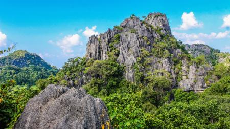 Photography of Mountain Covered With Trees