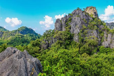 Photography of Mountain Covered With Trees