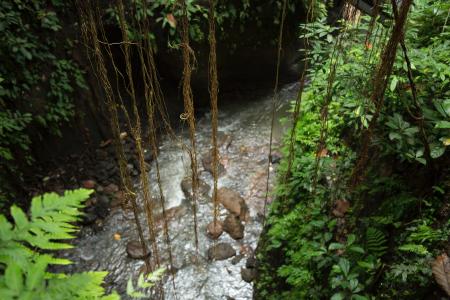 Photography of River With Rocks