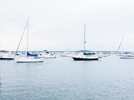 Photography of Sailboats in the Sea