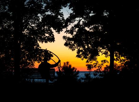 Photography of Silhouettes of Man and Trees