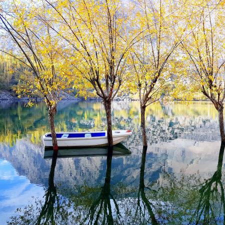 Photography of White and Blue Wooden Boat On Water