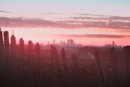 Photography of White Wooden Fence during Sunset