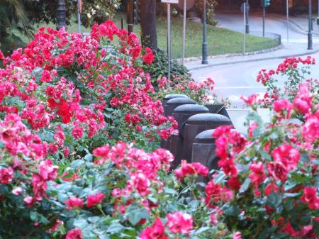 Piazza Mazzini-Genova-Liguria-Italy - Creative Commons by gnuckx