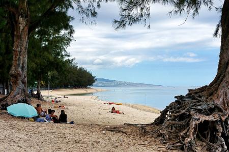 Picnic on the Beach