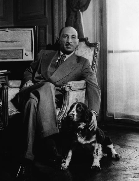 Pictures of the 20th Century