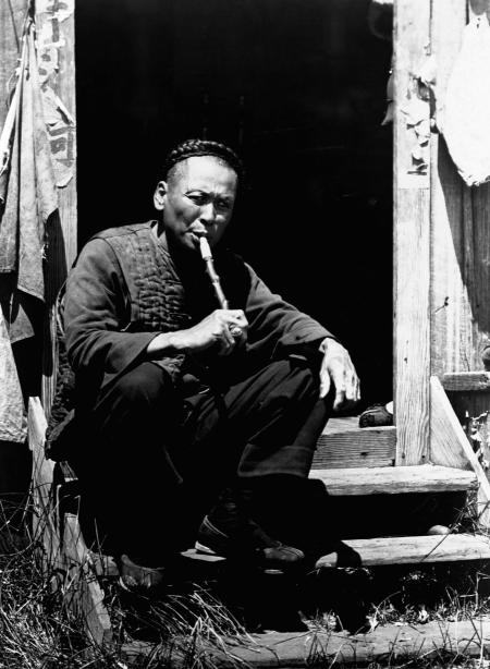 Pictures of the 20th Century