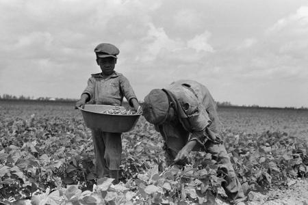 Pictures of the 20th Century