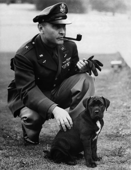 Pictures of the 20th Century