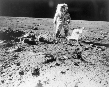 Pictures of the 20th Century