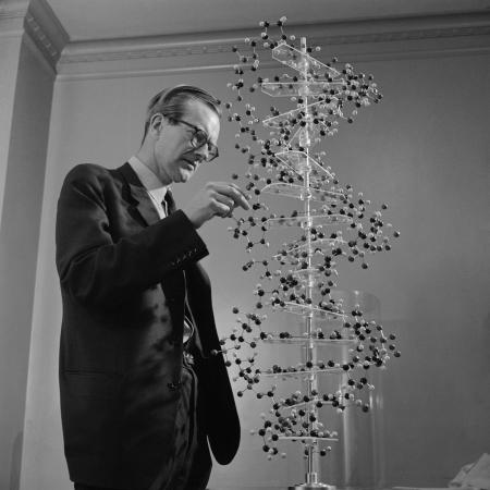 Pictures of the 20th Century