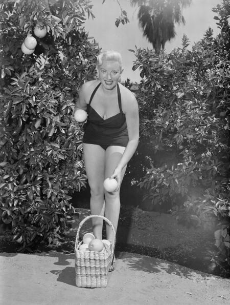 Pictures of the 20th Century