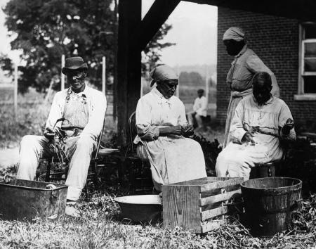 Pictures of the 20th Century