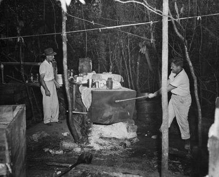 Pictures of the 20th Century