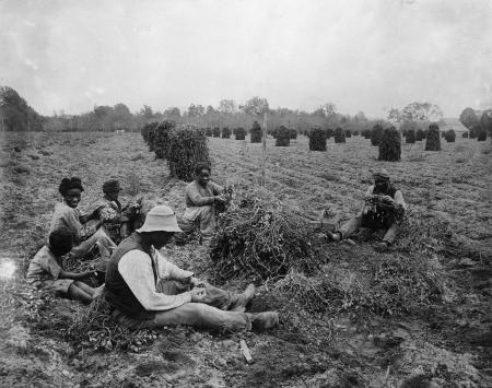 Pictures of the 20th Century