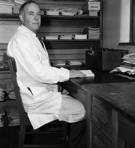 Pictures of the 20th Century