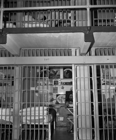 Pictures of the 20th Century