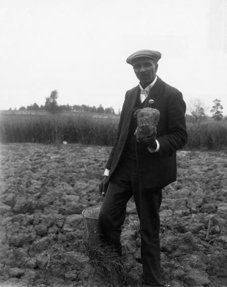 Pictures of the 20th Century