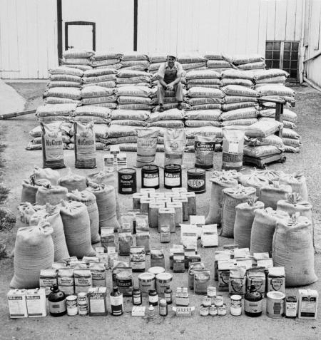 Pictures of the 20th Century